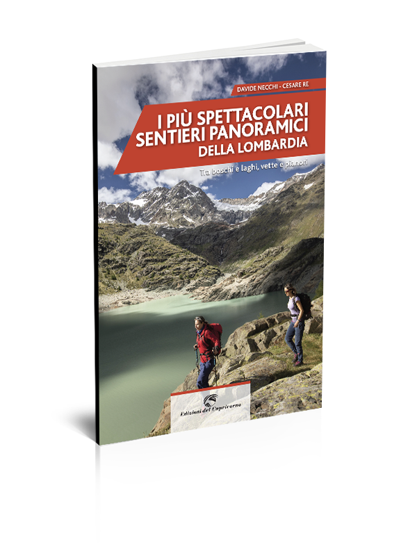 Portfolio Eventi Pubblicazioni Corsi E Mostre A